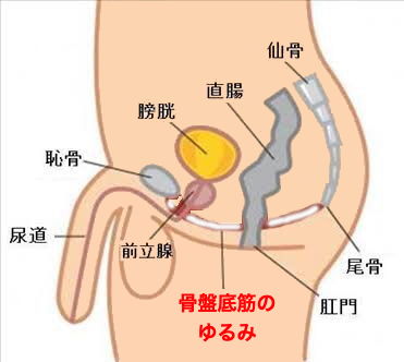 画像に alt 属性が指定されていません。ファイル名: f2b14708fcc0cd1b78738440e7e34a48.jpg